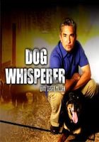 Dog Whisperer